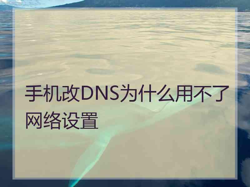 手机改DNS为什么用不了网络设置